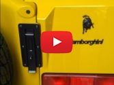 Lamborghini. Детали после покраски.